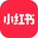 单丝袜是什么
